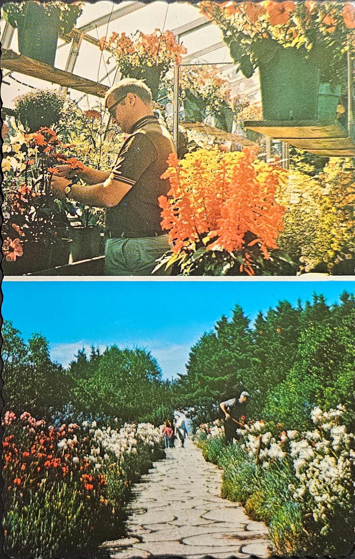 (image for) postcard Canada - CA-QC-0004